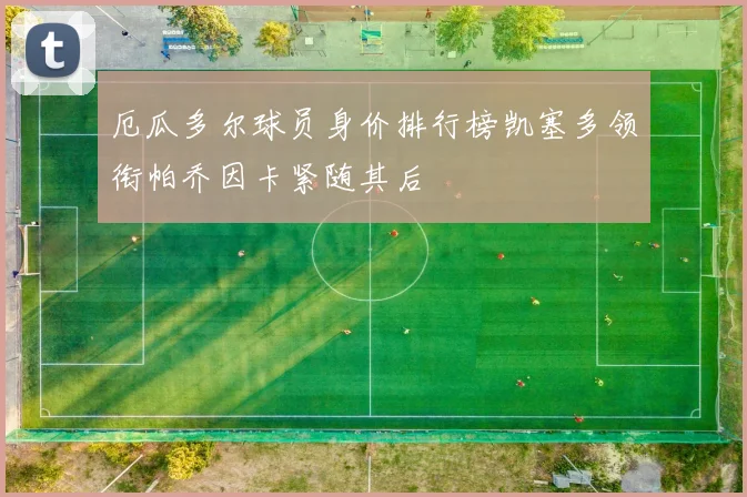 厄瓜多尔球员身价排行榜凯塞多领衔帕乔因卡紧随其后